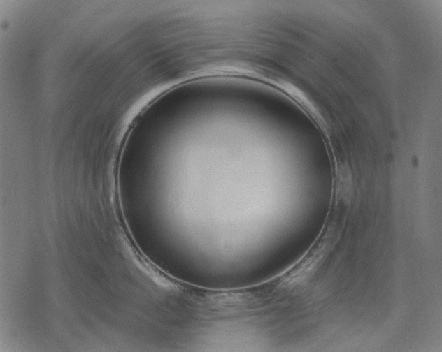 X0000074300862200609011445