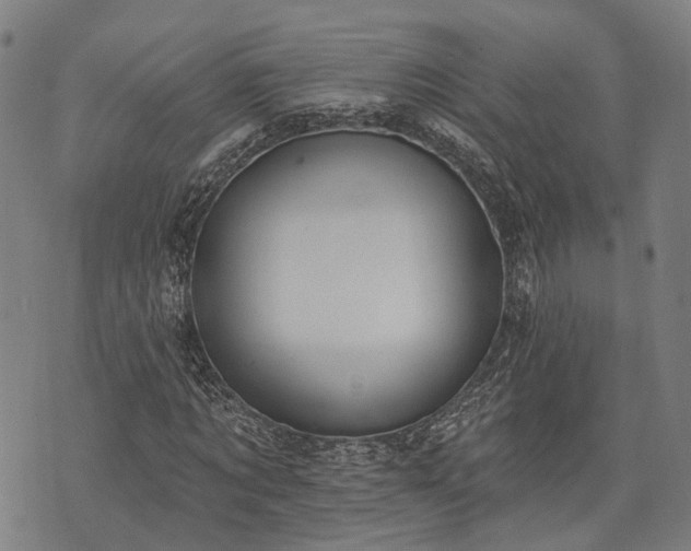 X0000074300869200609011444