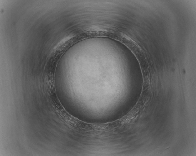 X0000074300870200609011444