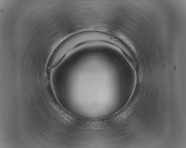 X0000074300876200609011444