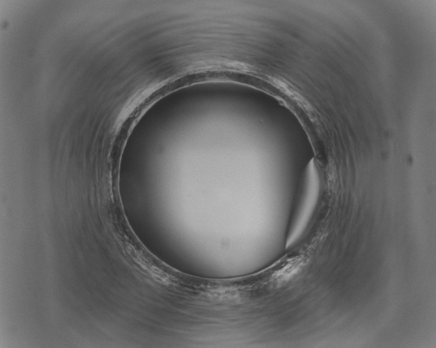 X0000074300877200609011444