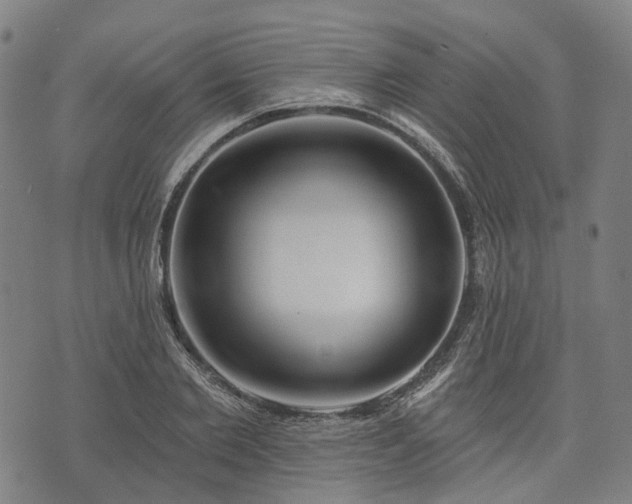 X0000074300885200609011444