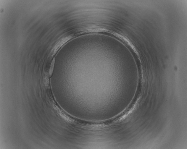 X0000074300889200609011444
