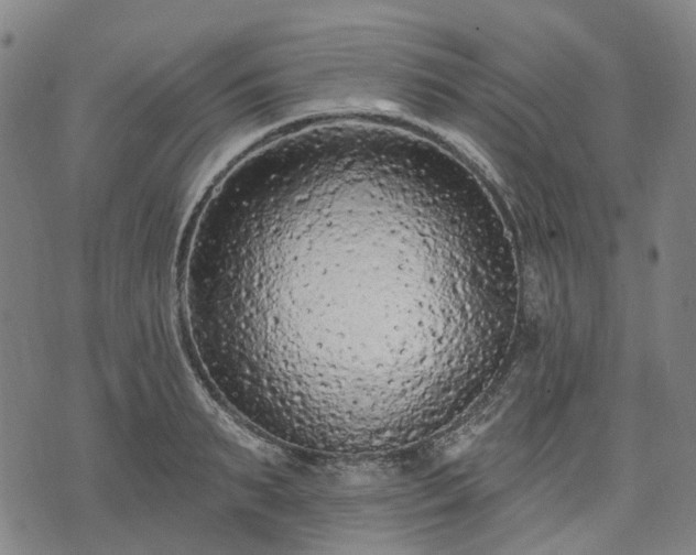 X0000074300895200609011444