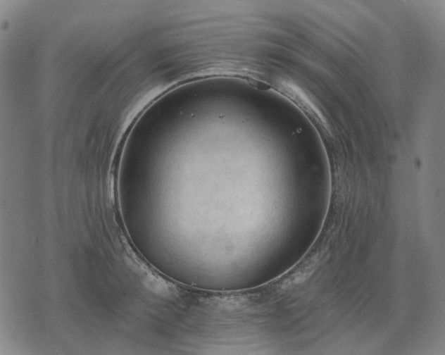 X0000074300900200609011444