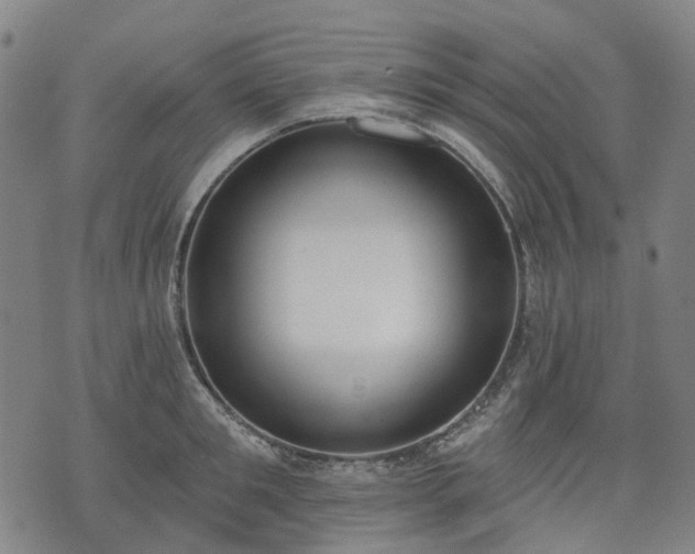 X0000074300901200609011444