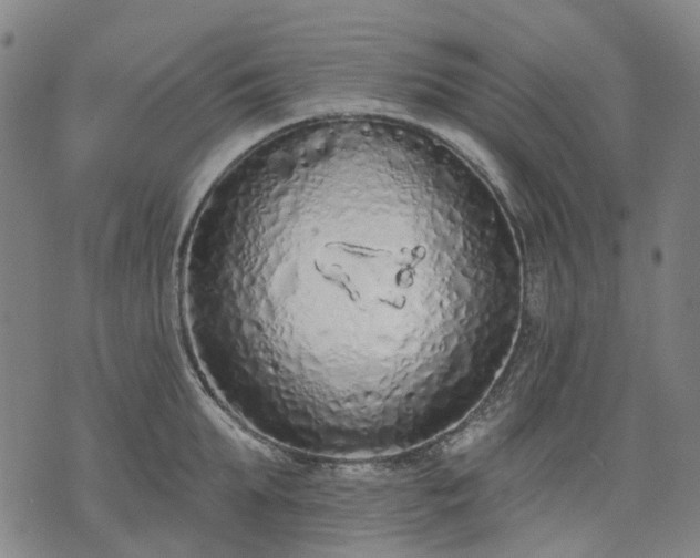X0000074300903200609011444