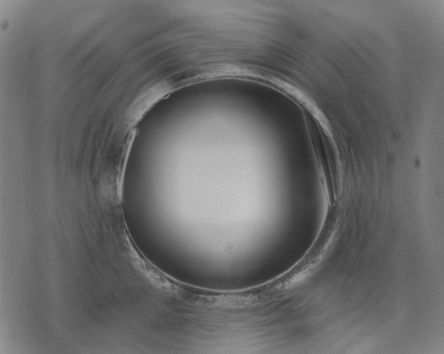 X0000074300905200609011444