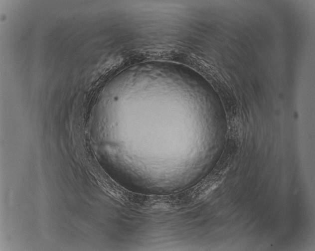 X0000074300913200609011443