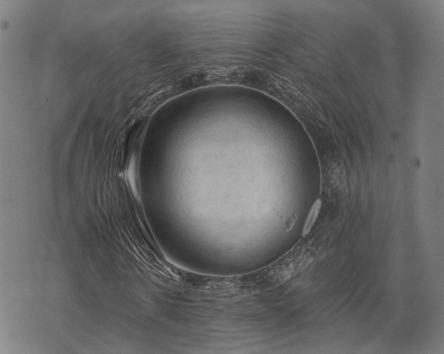 X0000074300914200609011443
