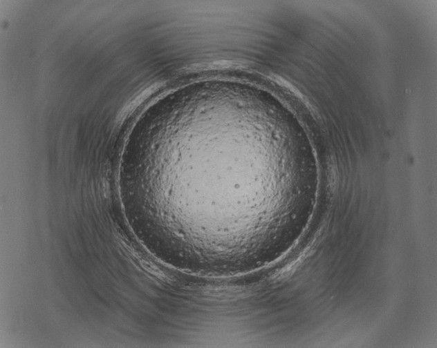 X0000074300921200609011443