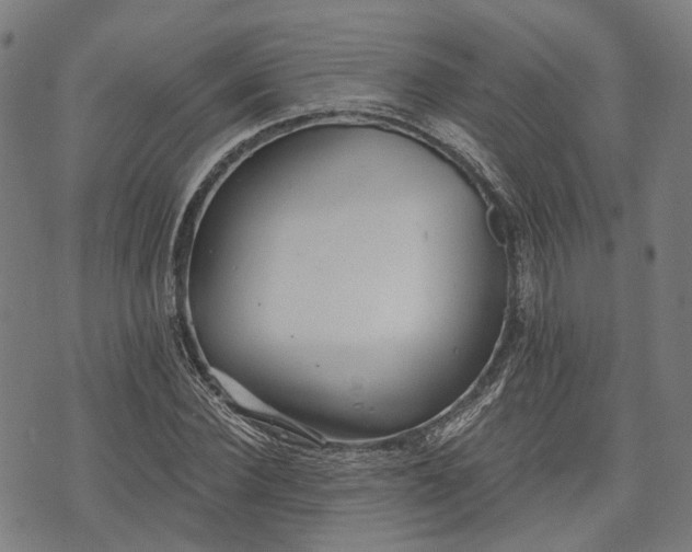 X0000074300924200609011443