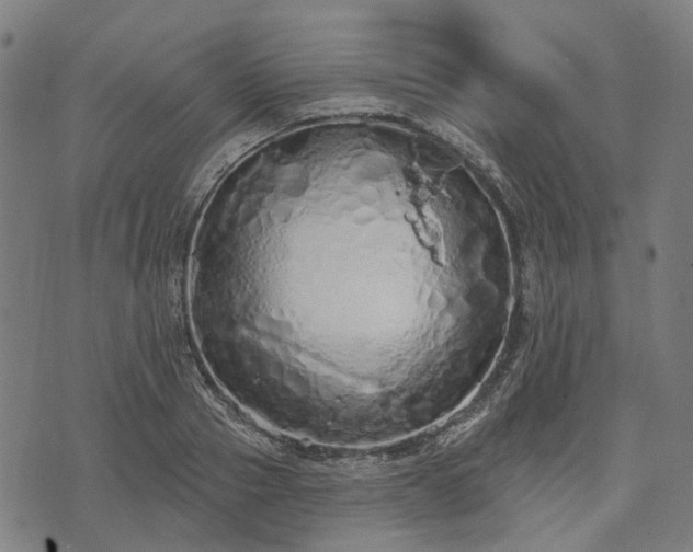 X0000074300937200609011443