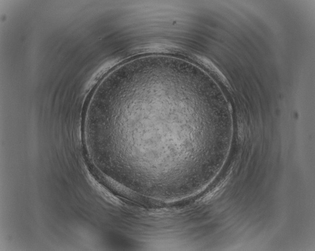 X0000074300938200609011443