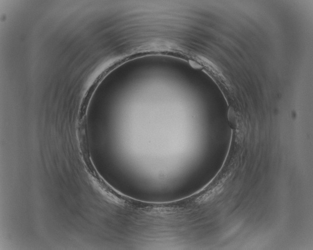 X0000074300942200609011443