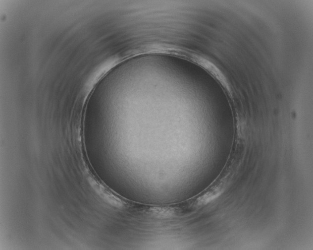 X0000074300954200609011444
