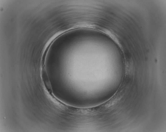 X0000074300955200609011444