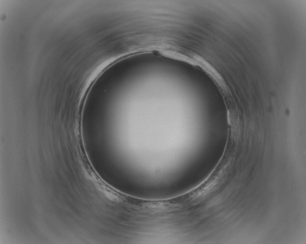 X0000074300956200609011444