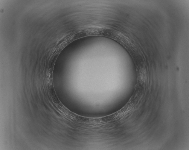 X0000074300964200609011443