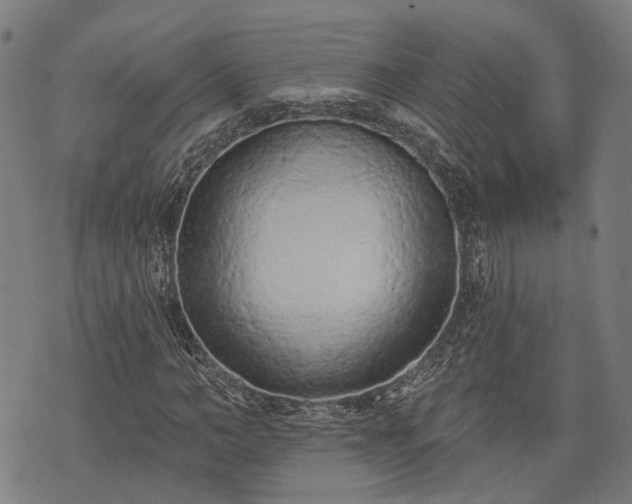 X0000074300966200609011443
