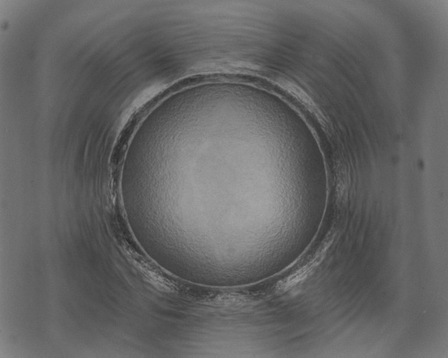X0000074300974200609011443