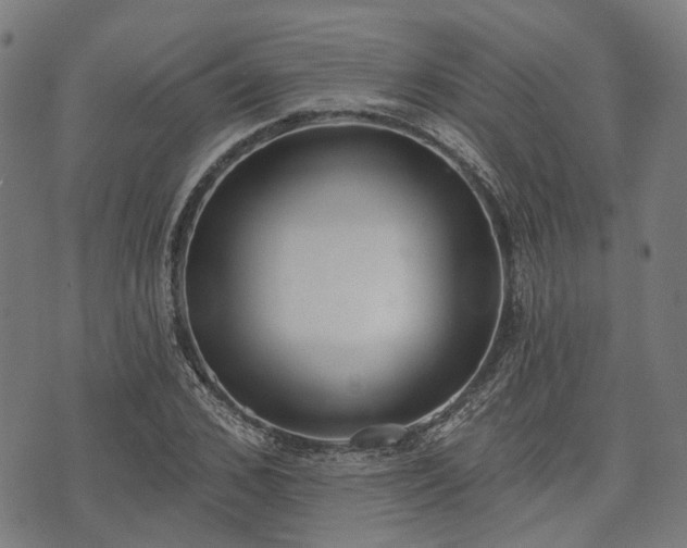 X0000074300976200609011443