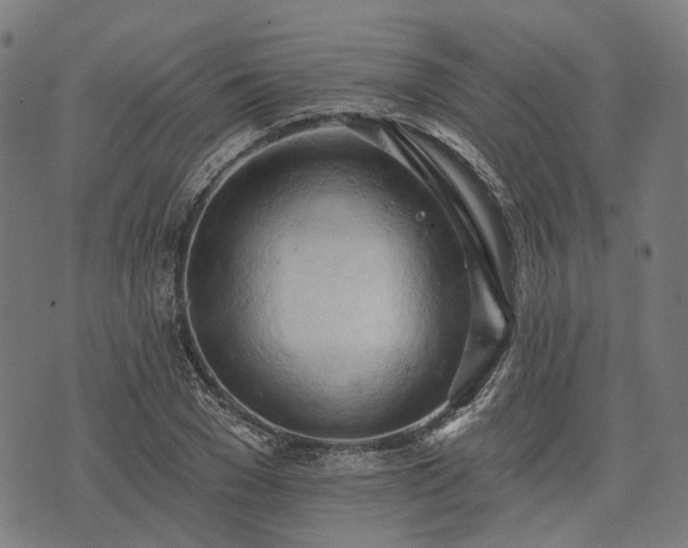 X0000074300977200609011443