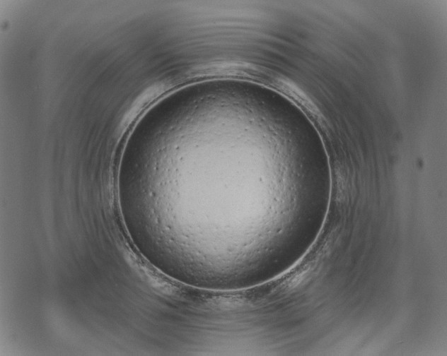 X0000074300994200609011442