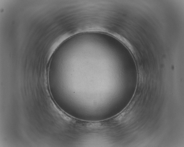 X0000074301006200609011442