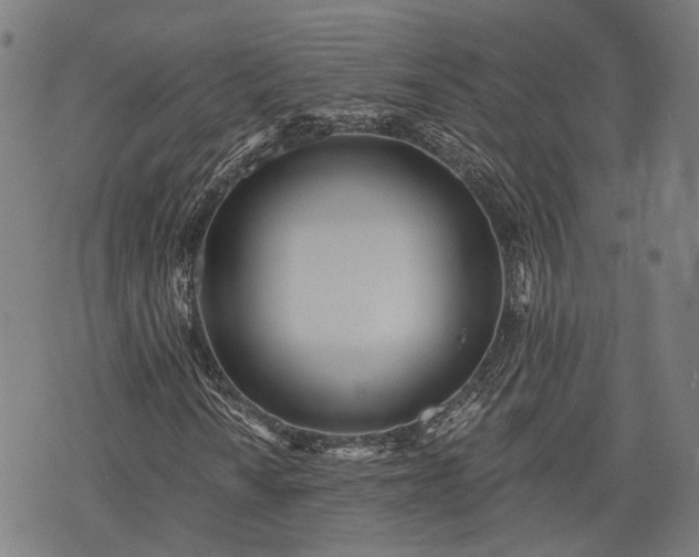 X0000074301010200609011441