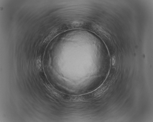 X0000074301011200609011441