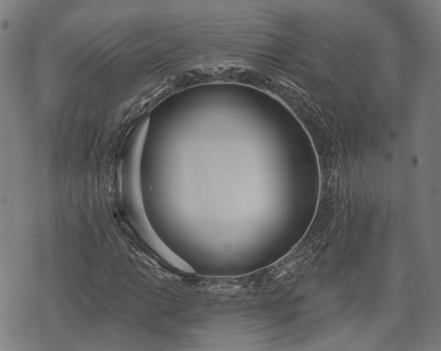 X0000074301014200609011441