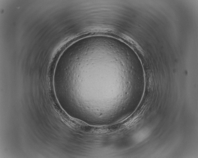 X0000074301027200609011442