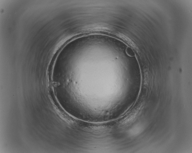 X0000074301031200609011442