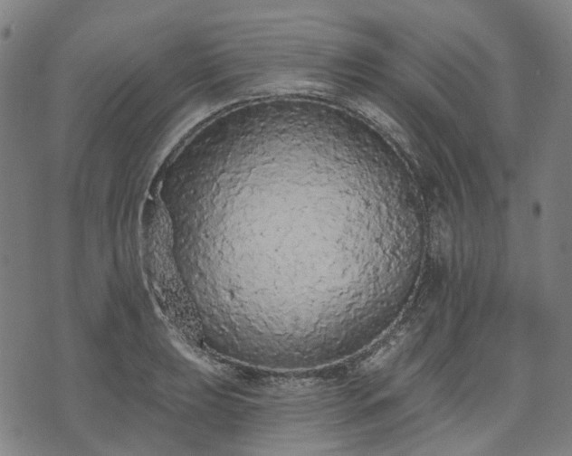 X0000074301039200609011442