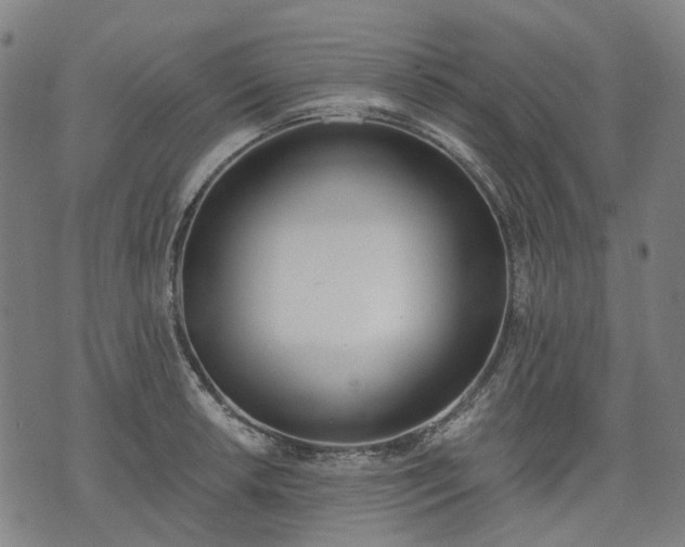 X0000074301042200609011442