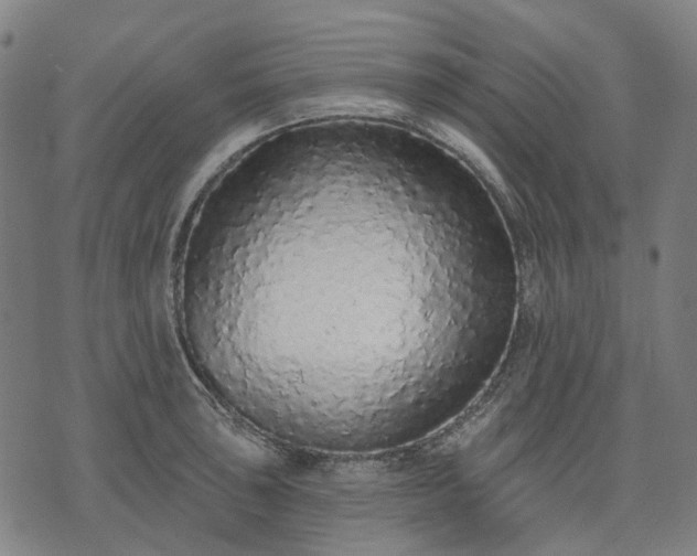 X0000074301043200609011442