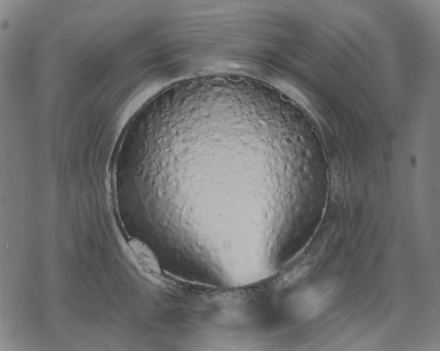 X0000074301047200609011442