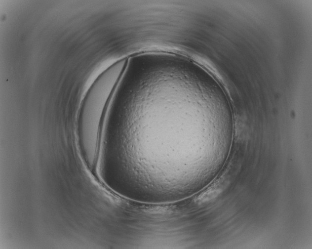 X0000074301048200609011442