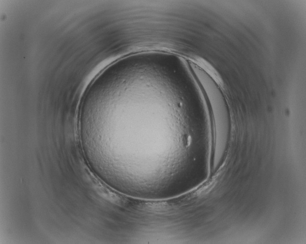 X0000074301052200609011442