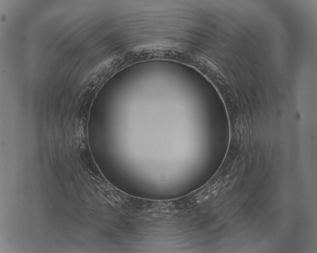 X0000074301062200609011441
