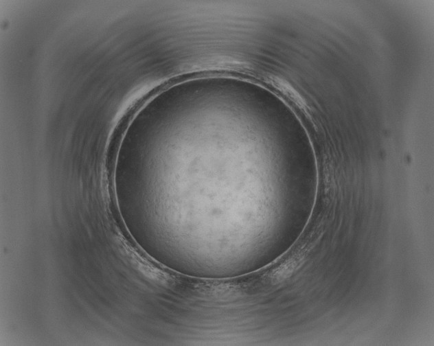 X0000074301072200609011441
