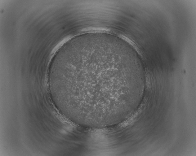 X0000074301074200609011441
