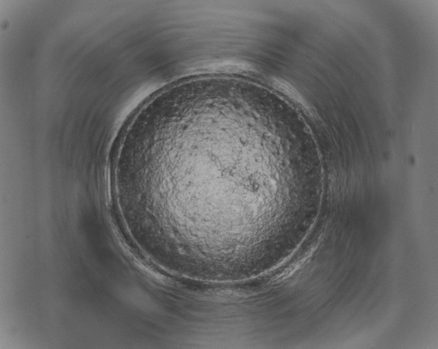 X0000074301079200609011441