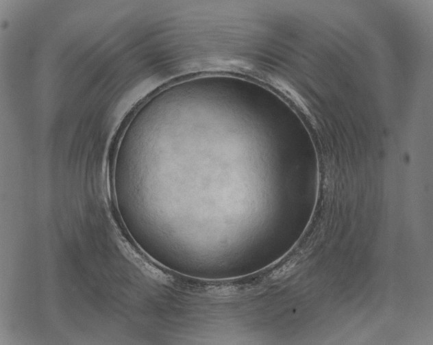 X0000074301080200609011441
