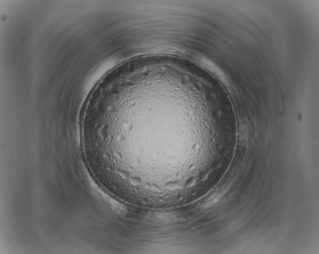 X0000074301095200609011441
