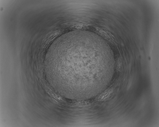 X0000074301105200609011440