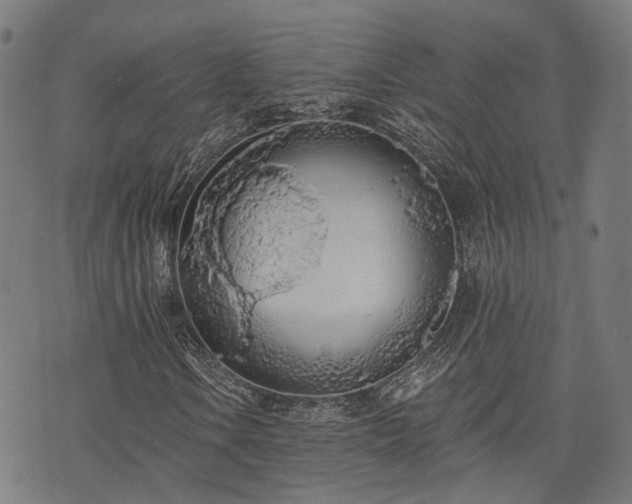 X0000074301106200609011440