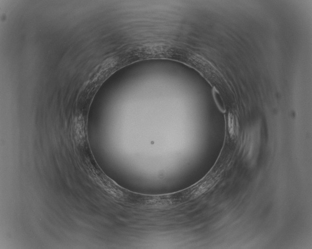X0000074301107200609011440
