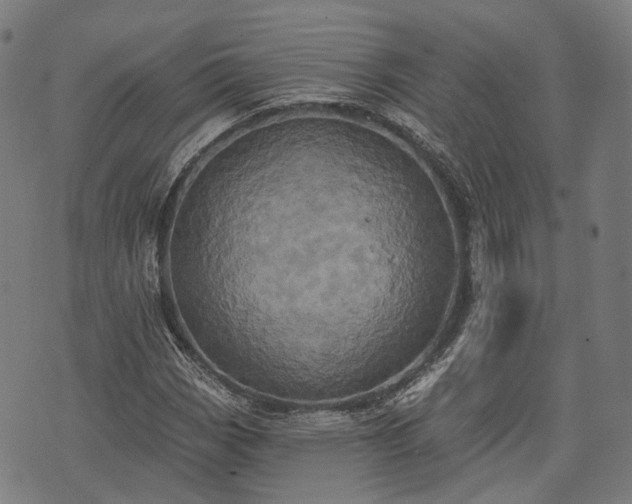 X0000074301113200609011440